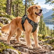 Marvellt™ FlexTrail Adjustable Comfort Harness