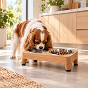 Marvellt™ MeadowDuo Elevated Bowl Set
