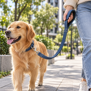 Marvellt™ RiverLoop Padded Everyday Leash
